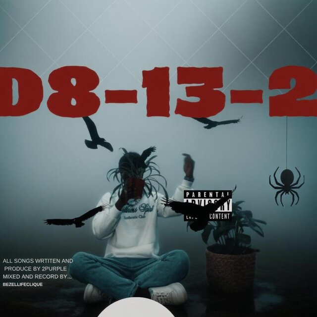 D8-13-2