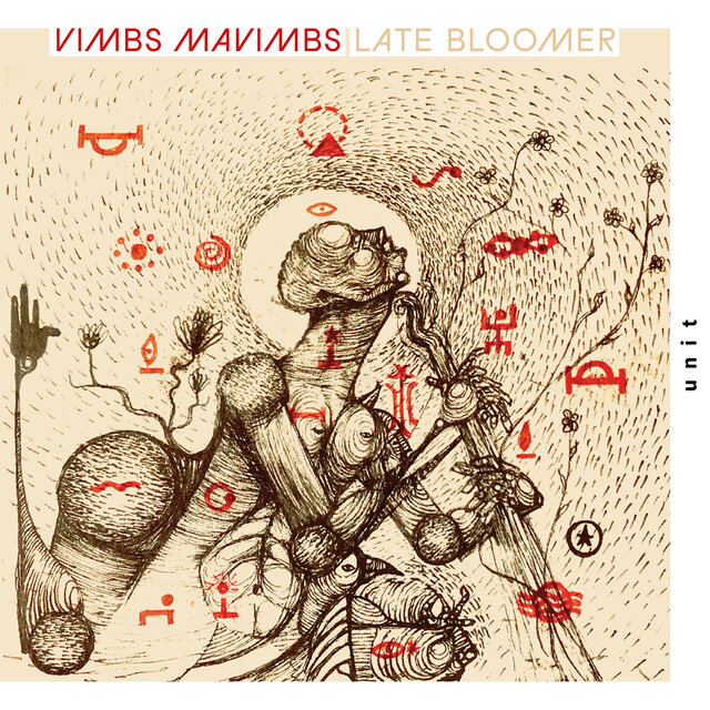 Cover art for album Late Bloomer by Vimbs Mavimbs