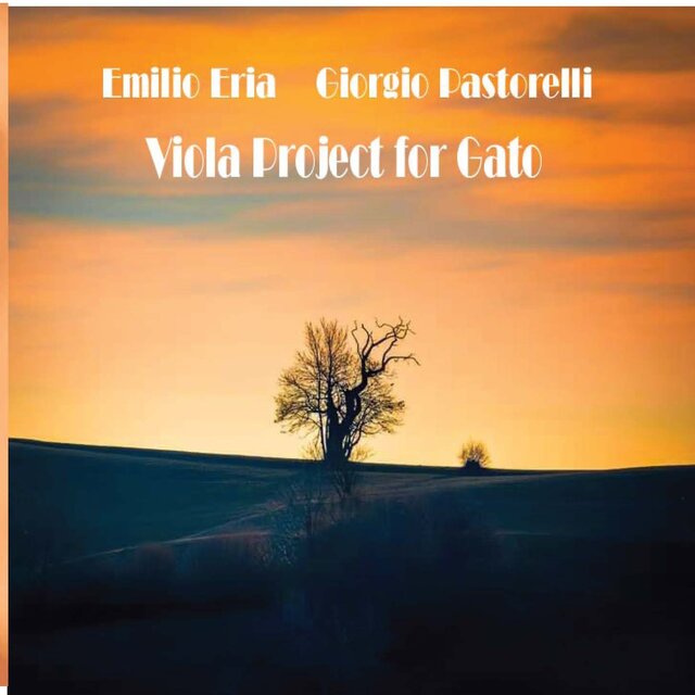 Viola project for Gato