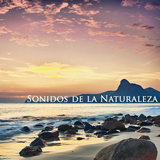 Sonido de Lluvia (Good Night and Sweet Dreams)