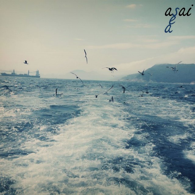 Sea