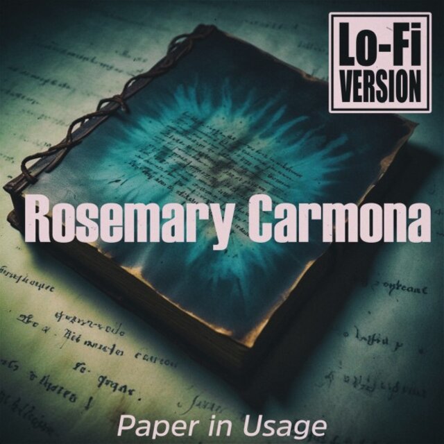Paper in Usage (Lo-Fi Version)