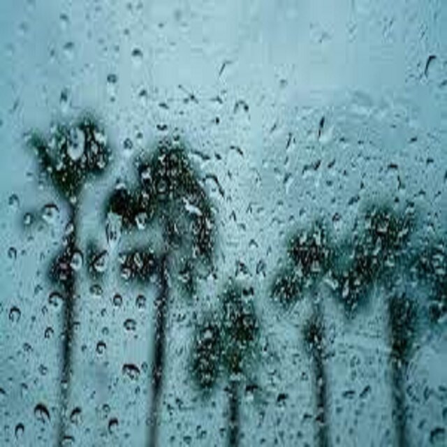 Best Rain Sounds
