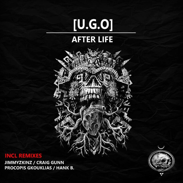 Afterlife,the remixes