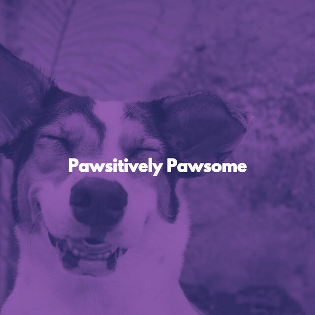 Pawsitively Pawsome