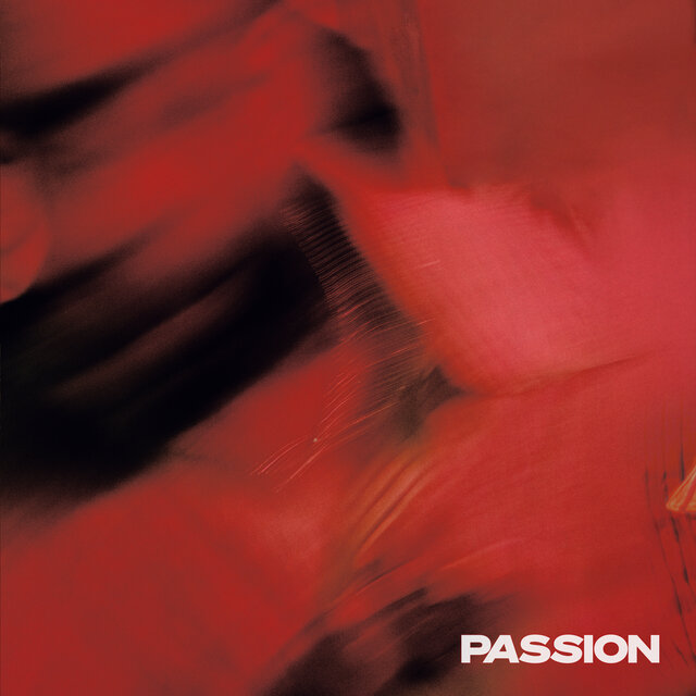 Cover art for album PASSION by Terrace Martin