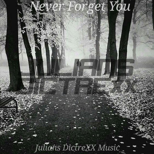 Never Forget You