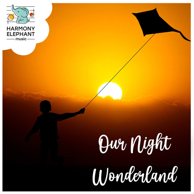 Our Night Wonderland