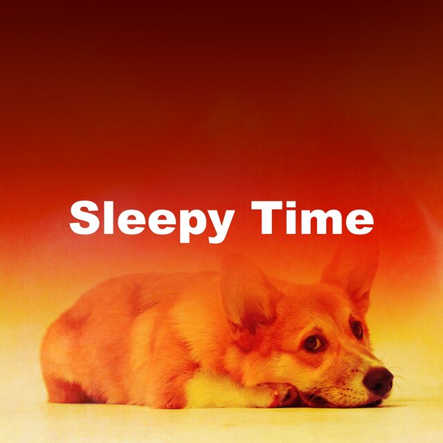 Sleepy Time