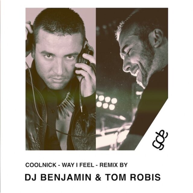 Way I Feel (Remix by DJ Benjamin & Tom Robis)