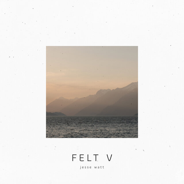 Felt V