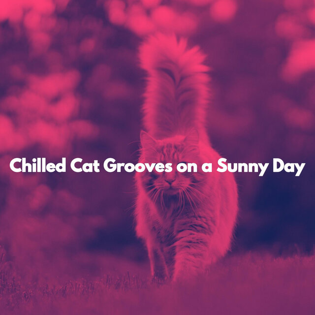 Chilled Cat Grooves on a Sunny Day