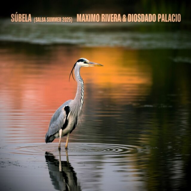 Súbela (Salsa Summer 2025)