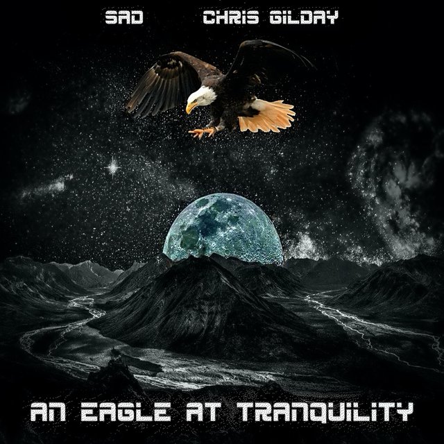 An Eagle at Tranquility