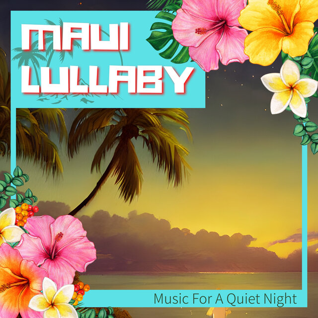 Music For A Quiet Night