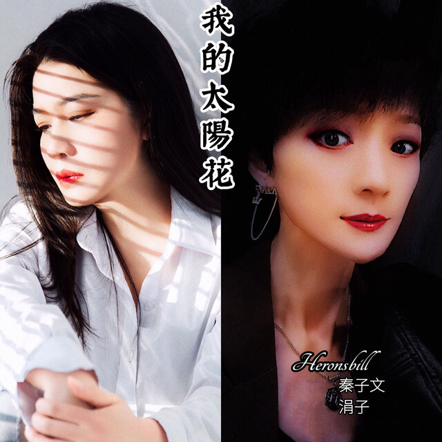 我的太阳花 (合唱版)