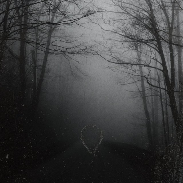 Fear