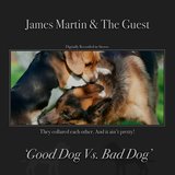 Bad Dog