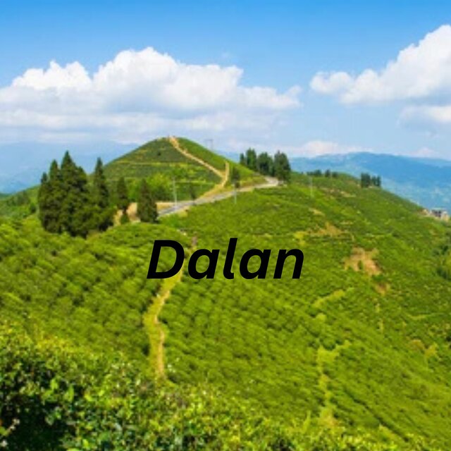 Dalan