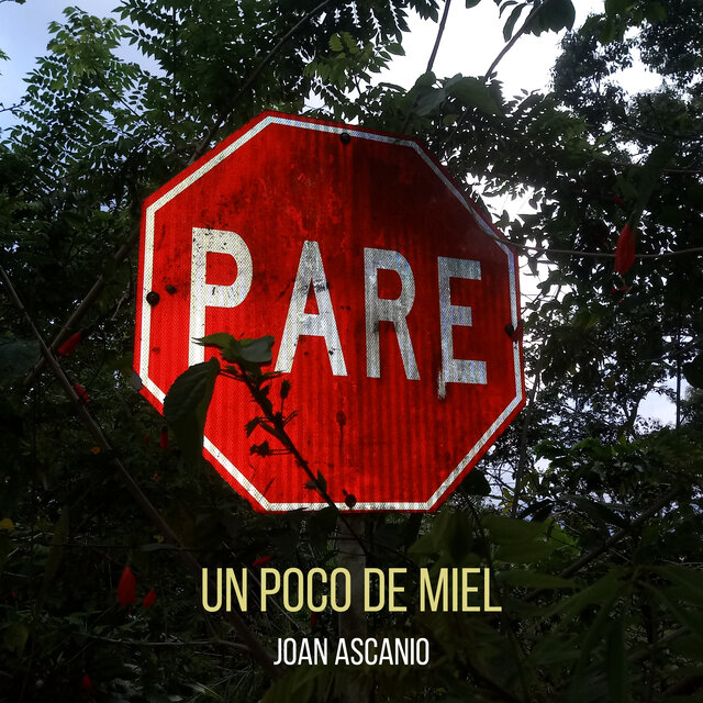 Un Poco de Miel