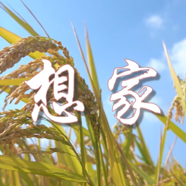 想家