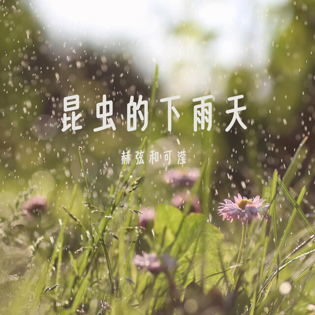 昆虫的下雨天