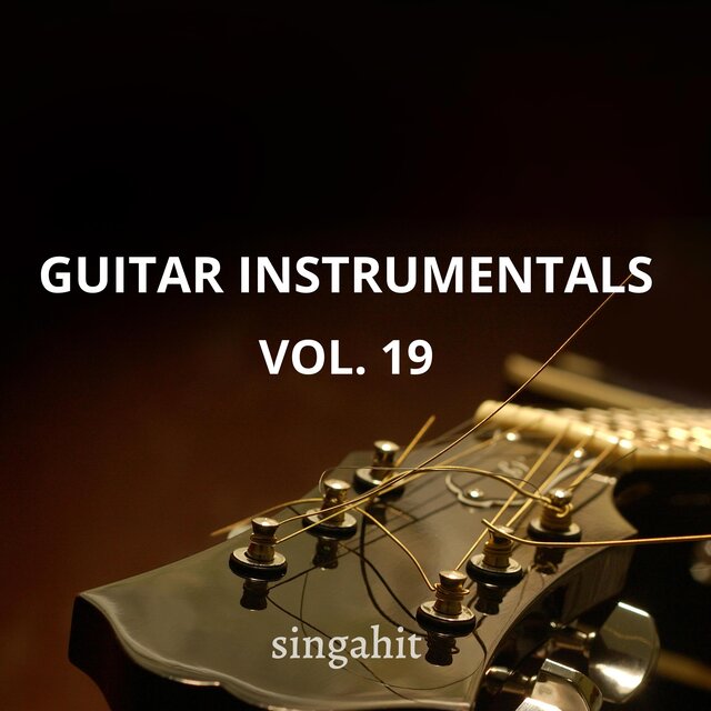 Guitar Acoustic Instrumental, Vol. 19