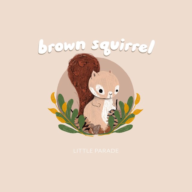 Brown Squirrel