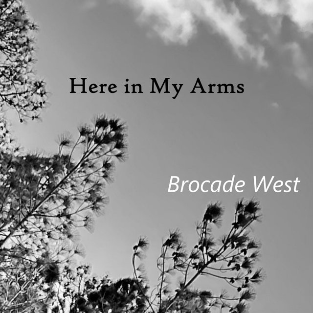 Here In My Arms