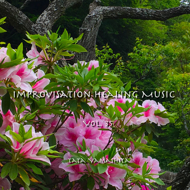 Improvisation Healing Music Vol.35
