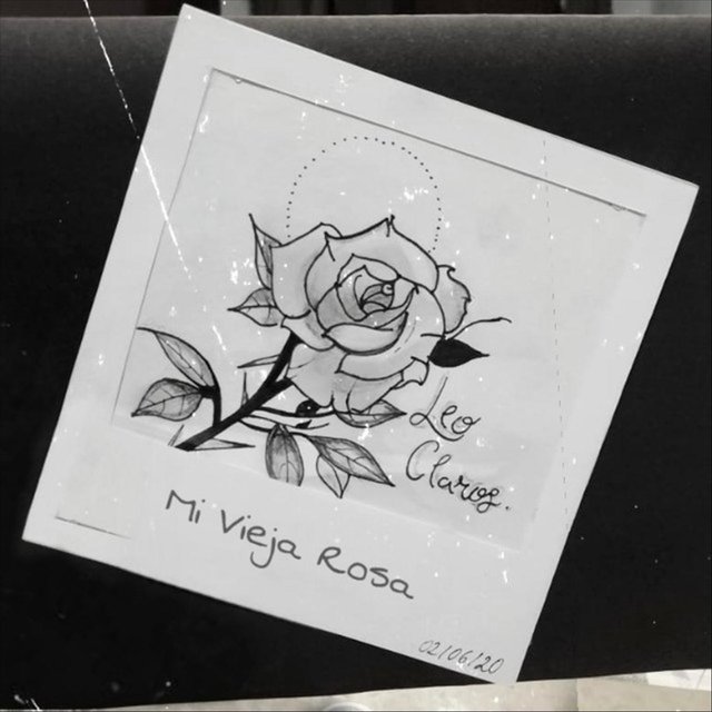 Mi Vieja Rosa