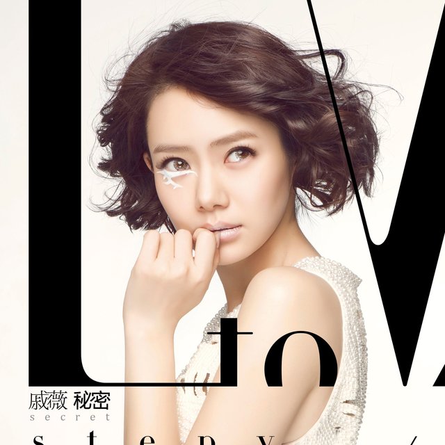 L to V 秘密