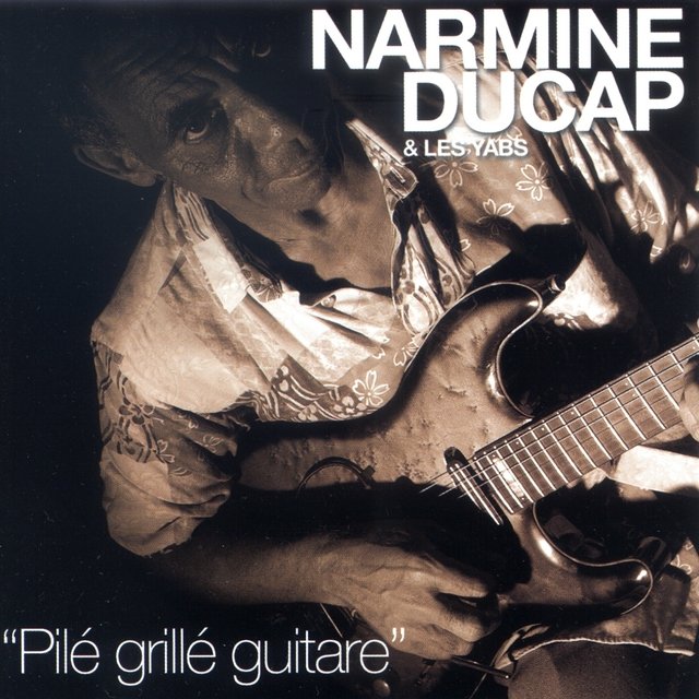Pilé grillé guitare