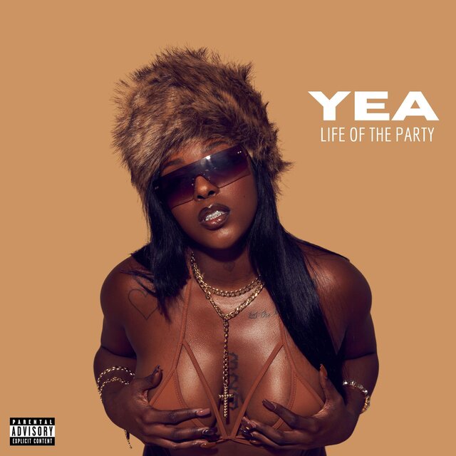 Life Of The Party