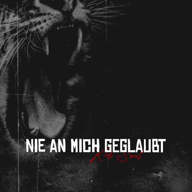 Nie an mich geglaubt