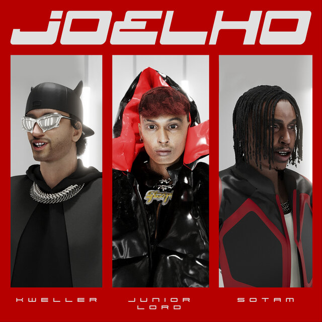 Joelho