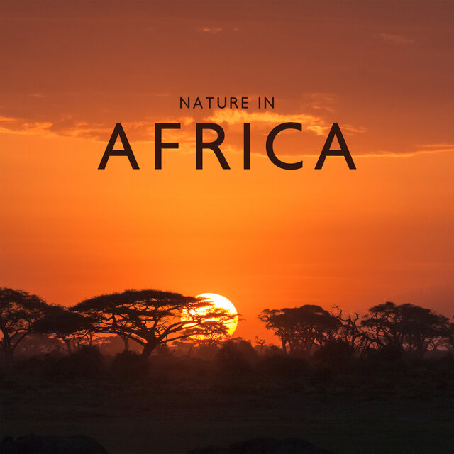 Nature In Africa