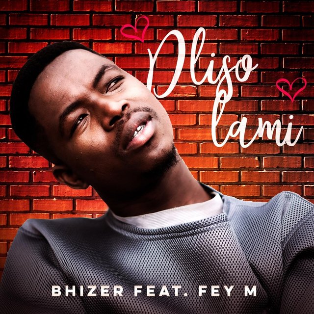 Dliso Lami