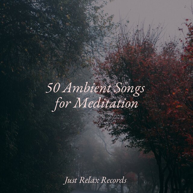50 Ambient Songs for Meditation
