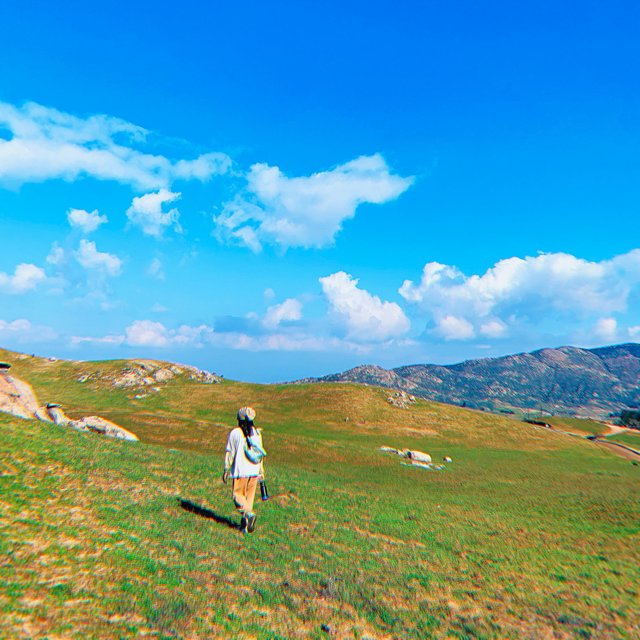 Hillside.