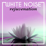 White Noise: Microwaves