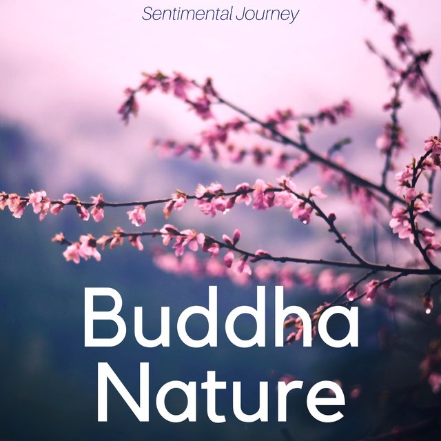 Buddha Nature: Quiet your Mind, Guided Meditation Music, Joy of Life, Sentimental Journey