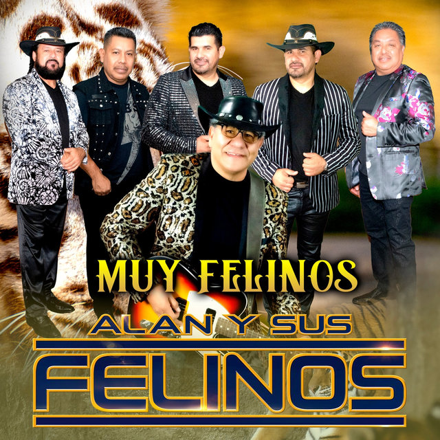 Muy Felinos
