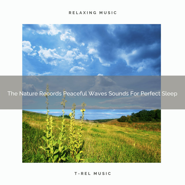 The Nature Records Peaceful Waves Sounds For Perfect Sleep