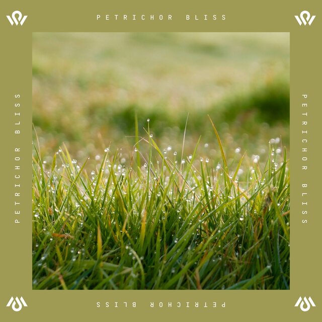 Petrichor Bliss