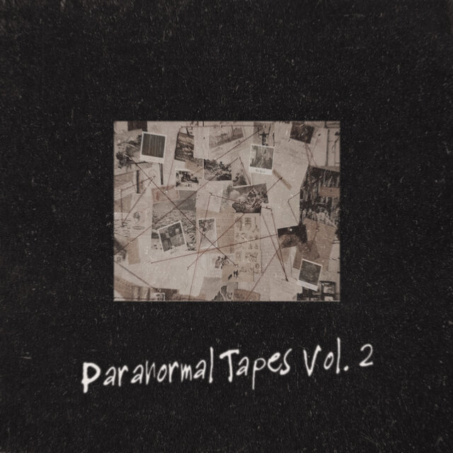 Paranormal Tapes, Vol. 2