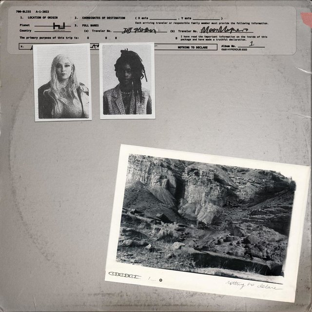 Cover art for album Nothing To Declare by 700 Bliss, DJ Haram, Moor Mother