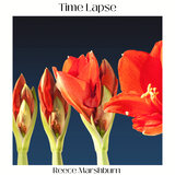 Time Lapse