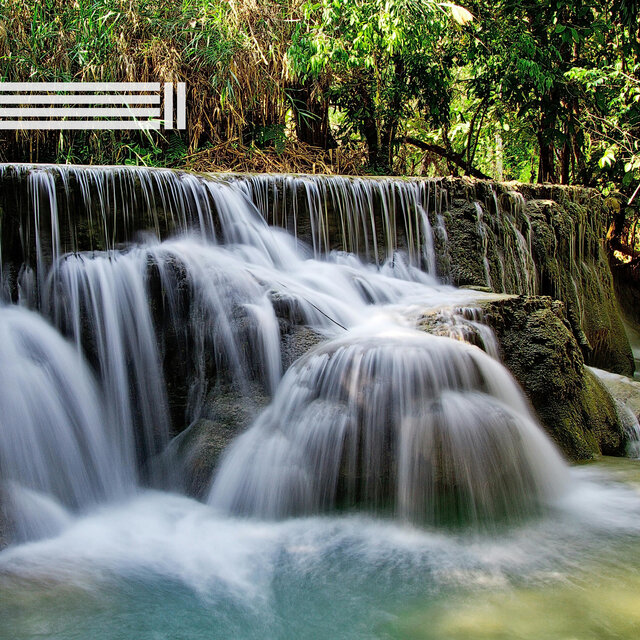Sons De Cascade De Forêt