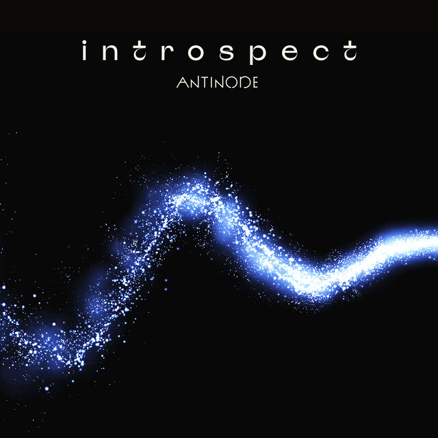 Introspect